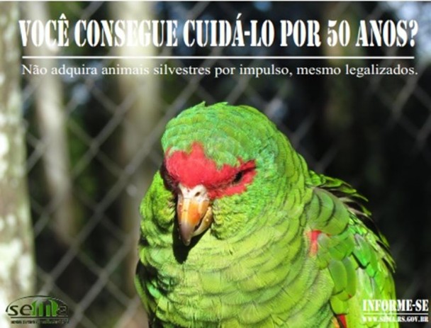 Campanha - SEFAU/SEMA/RS (Amazona pretrei)