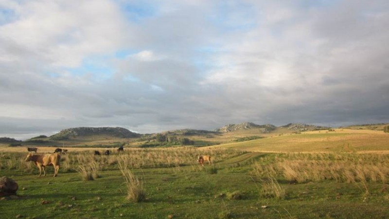 Cerro do Jarau