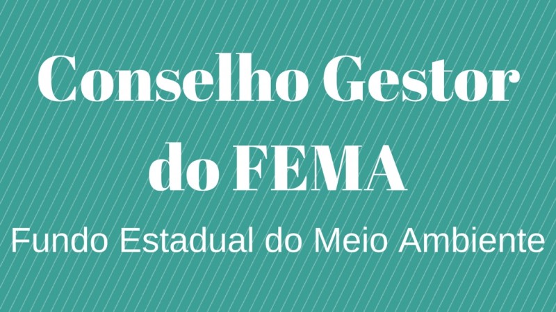 Conselho Gestor do FEMA