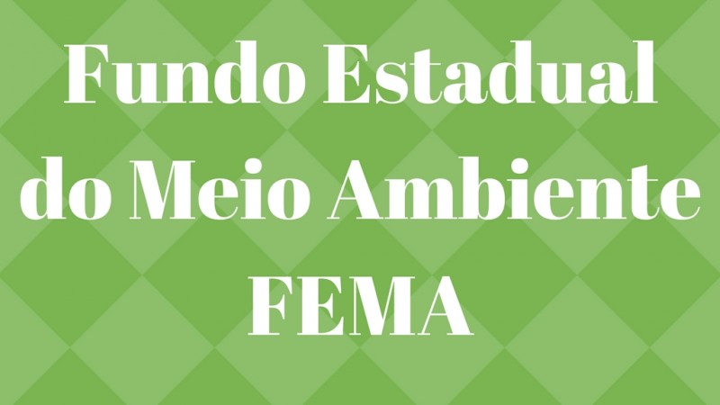 FEMA