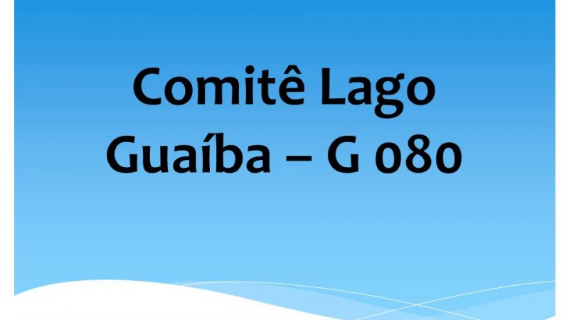 Comitê Lago Guaíba – G 080