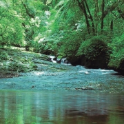 Nascente do Rio dos Sinos em Caraá