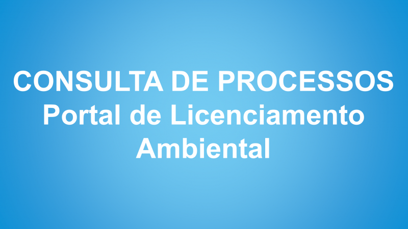 Consulta de processos