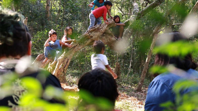 Aldeia Pindó mirim 