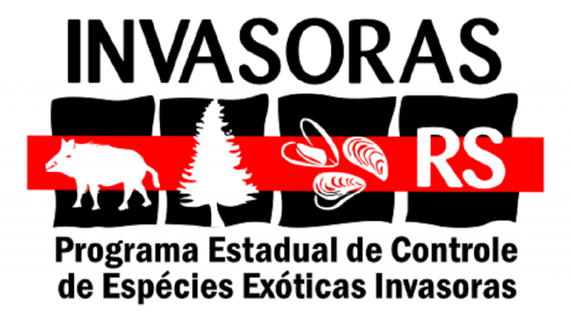 logoInvasorasRS  